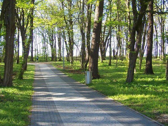 Bazylika konkatedralna Wniebowzięcia Najświętszej Maryi Panny